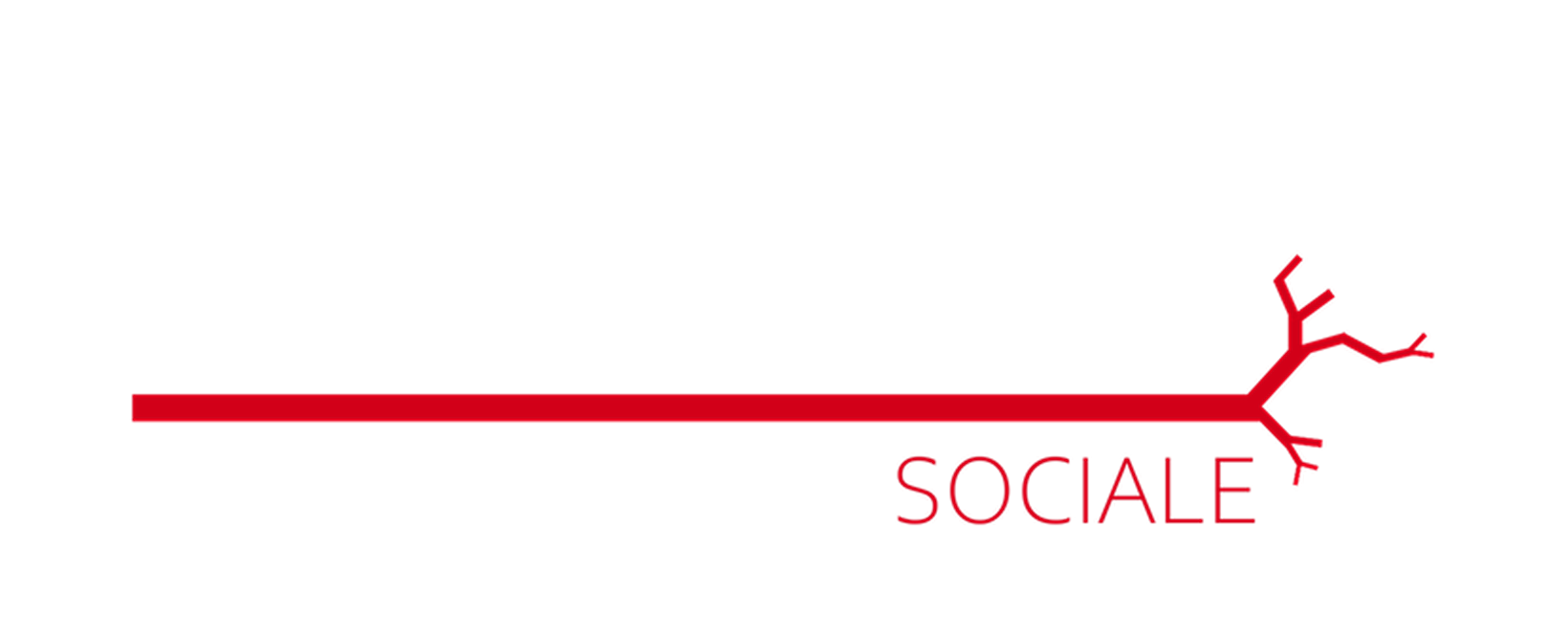 Aorta